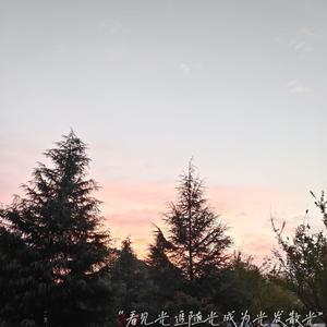 一边摸一边抽搐一进一出视频
